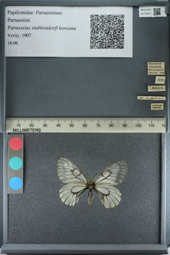 Media type: image;   Entomology 179971